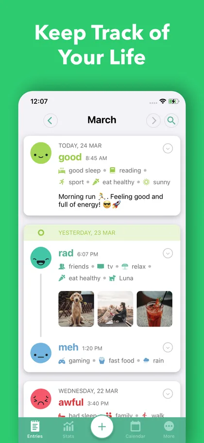 Daylio entries list with moods, activities and a photo